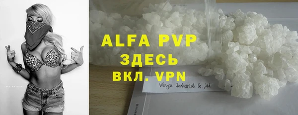 сатива Новодвинск