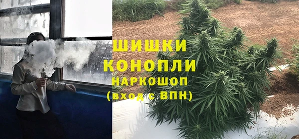 прущие крисы Няндома