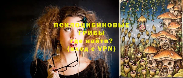 гашик Нязепетровск