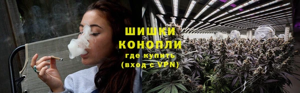 прущие крисы Няндома